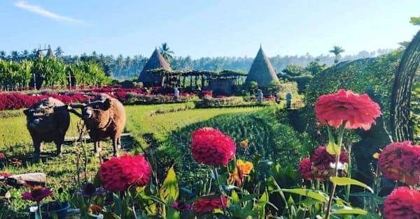 Maha Gangga Valley - Bali