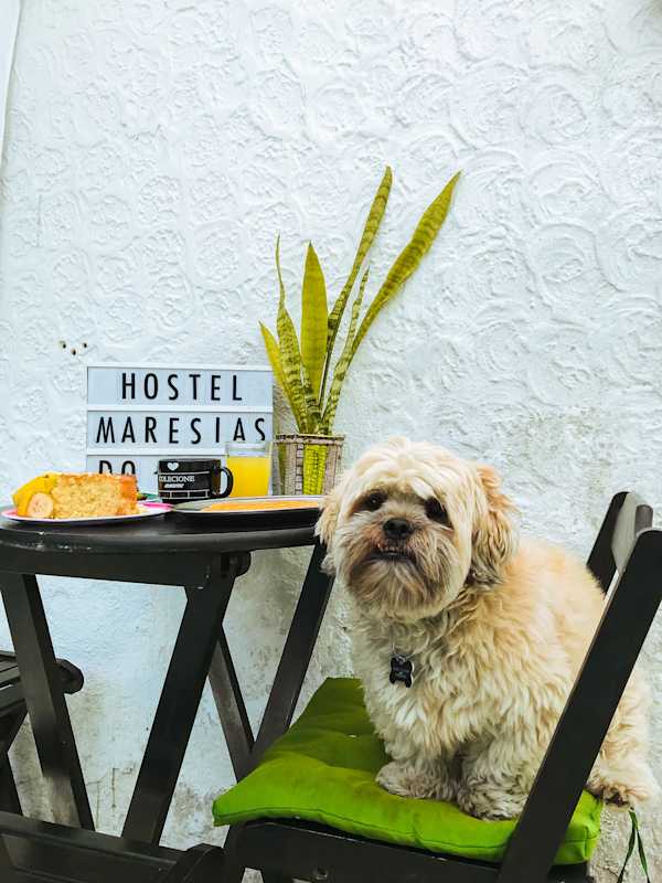 Maresias Do Leme Hostel - Copacabana