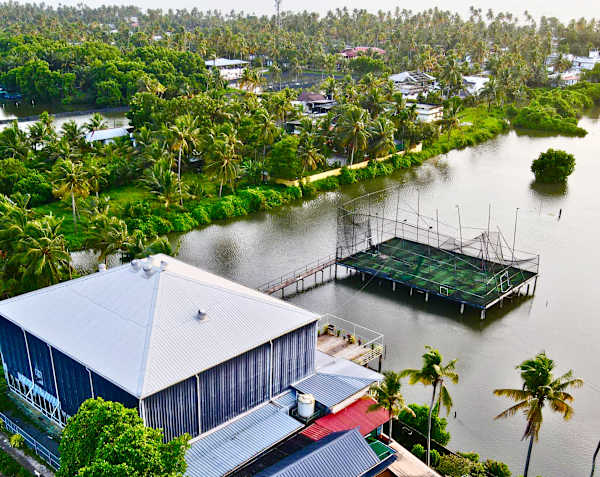 Louis Backpackers Hostel - Kochi