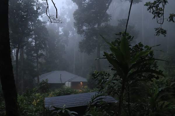 Hostelexp, Munnar - A Bungalow Farm Experience - Kerala