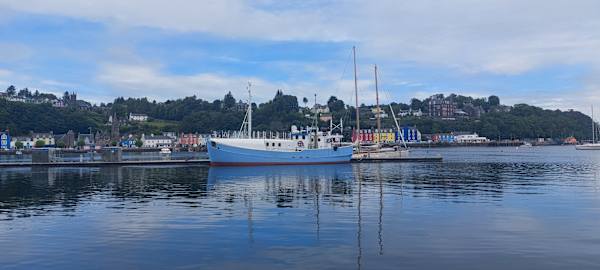 Jayne Pearl - Schottland
