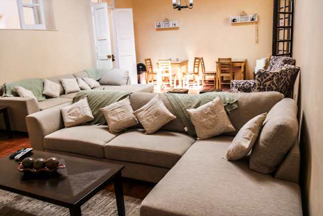 Wild Olive Guest house, Huacachina