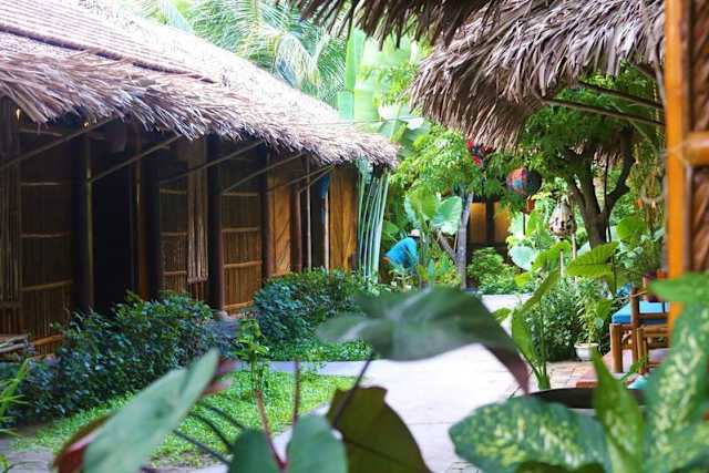 Under The Coconut Tree, Hoi An
