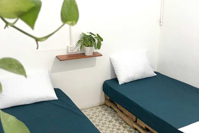 Sacred Lotus - Vegan - Café x Hostel, Phnom Penh