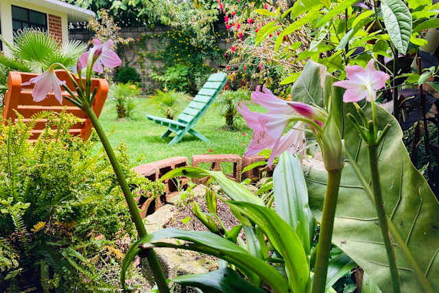 Casa Flor De Vida, San Cristobal de las Casas