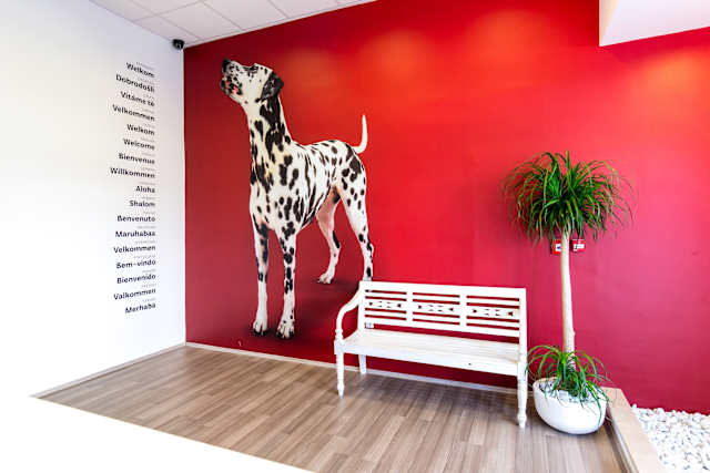 101 Dalmatinac Hostel, Split