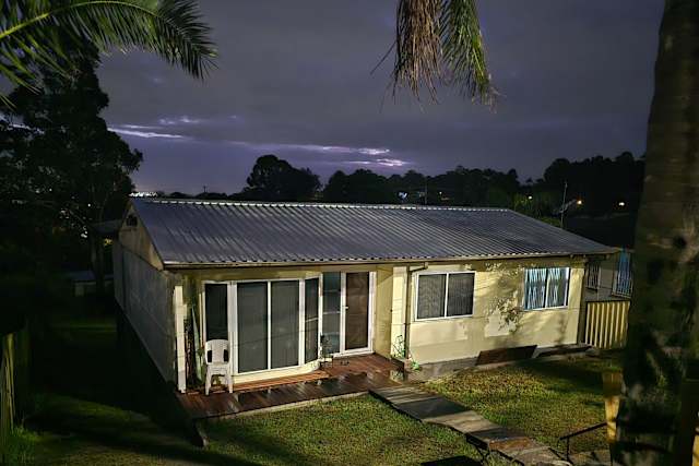 Bluetongue Hideout, Sydney