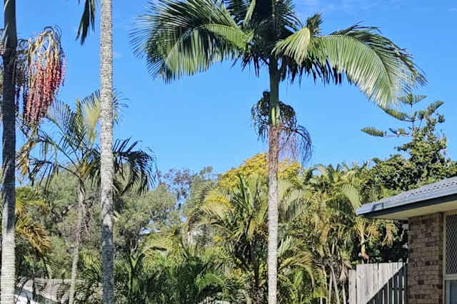Aztec mixed share accommodation, Brisbane