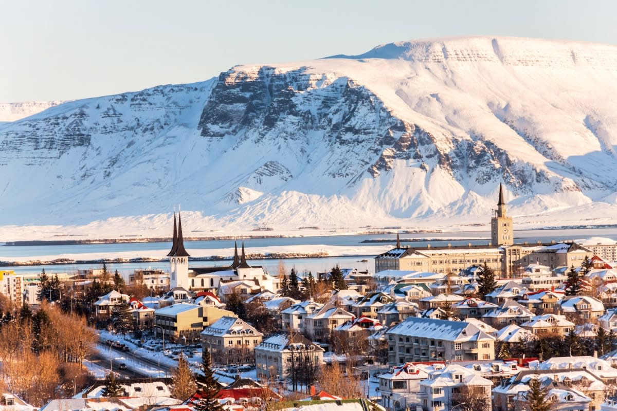 Hostels In Reykjavik from €15 Top Rated Hostels 2024