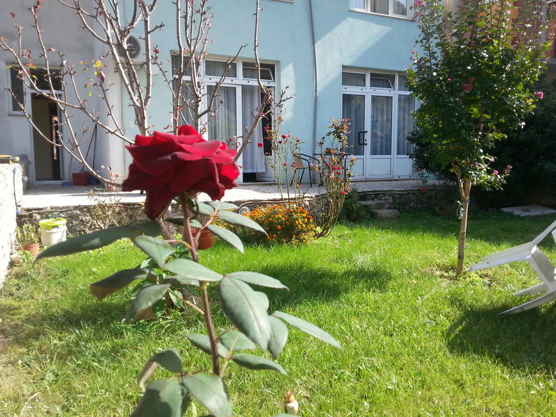 Apartment Sanja