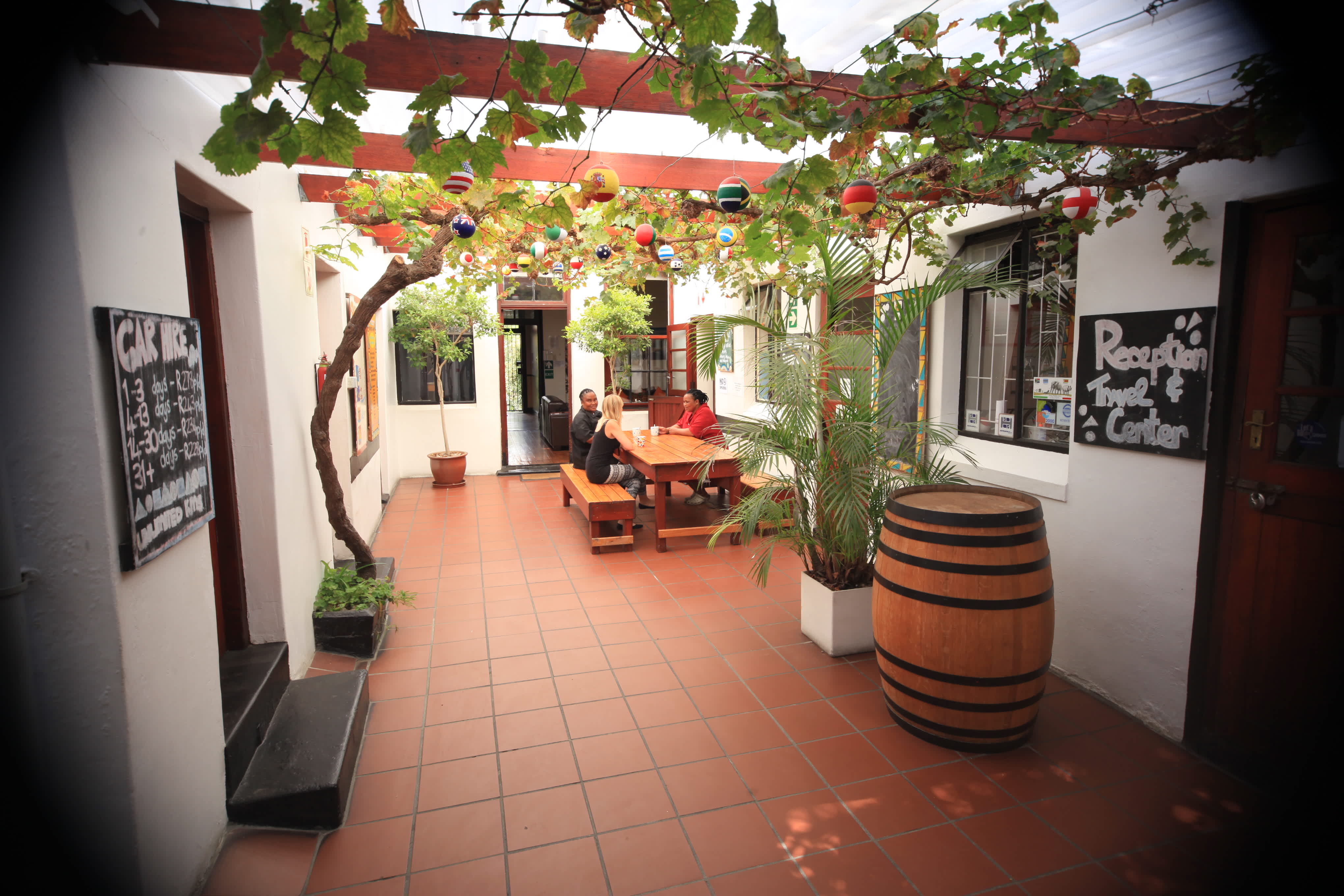 Zebra Crossing, Cape Town 2024 Prices & Reviews Hostelworld