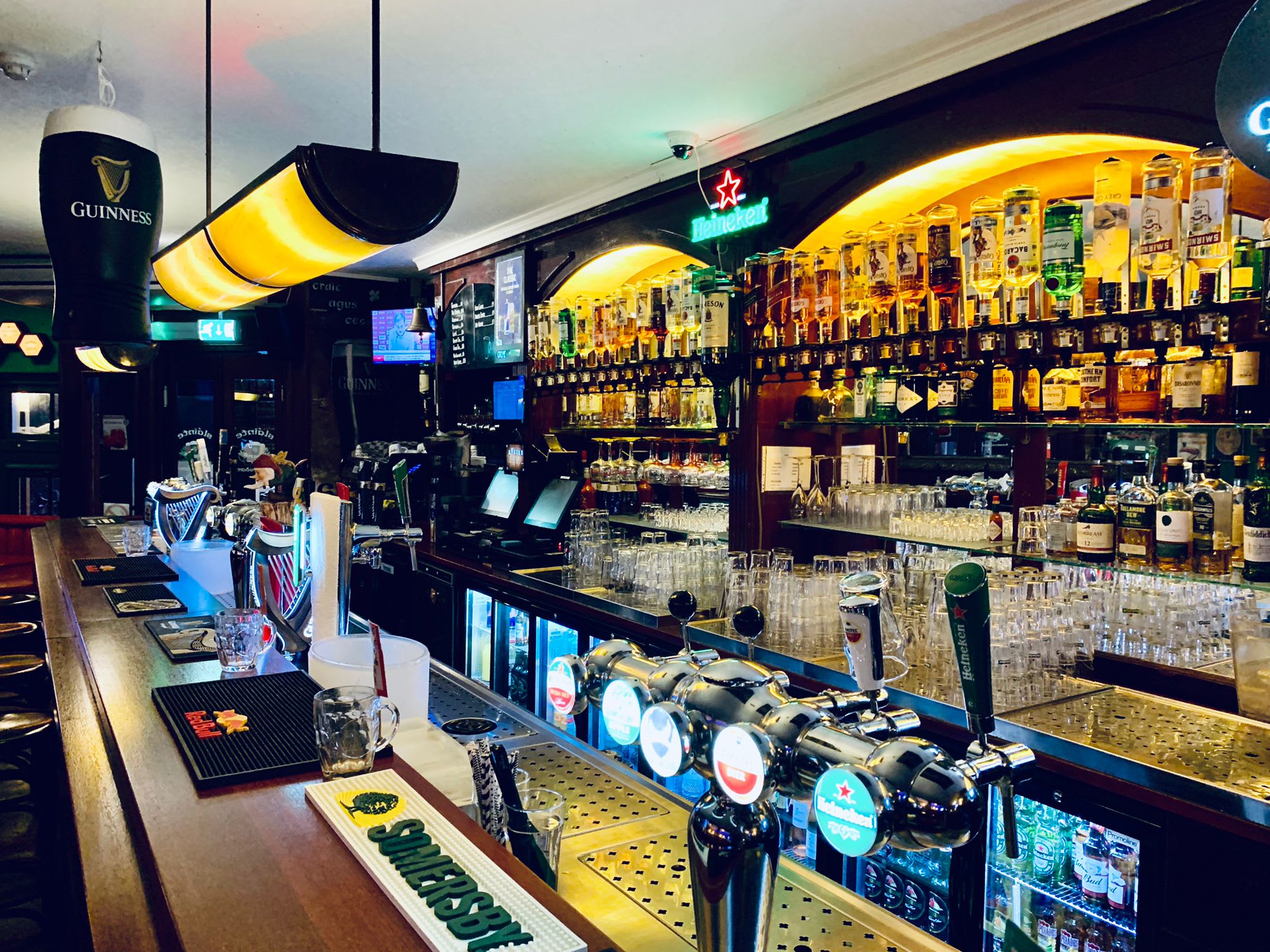The White Tulip Hostel, Amsterdam 2024 Prices & Reviews Hostelworld