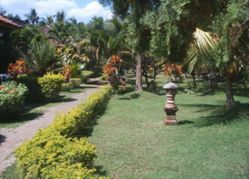 Bayu Mantra