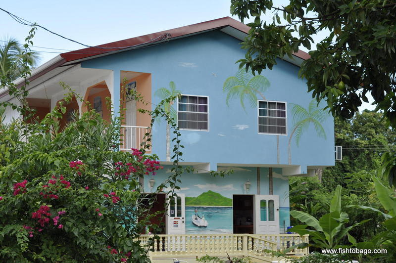 Fish Tobago Guesthouse