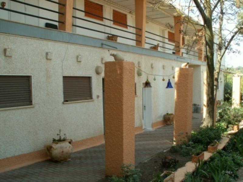 Safed Inn