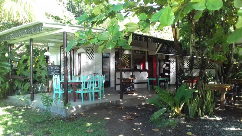 Bajo el Arbol B&B