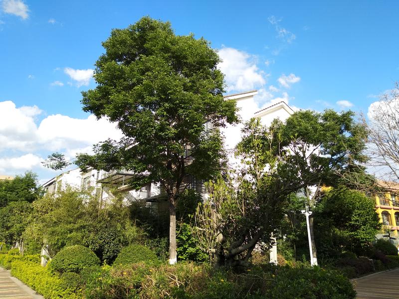 Utra Safari Villa
