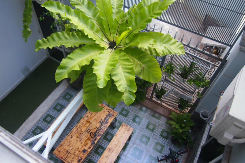 Gecko Hostel