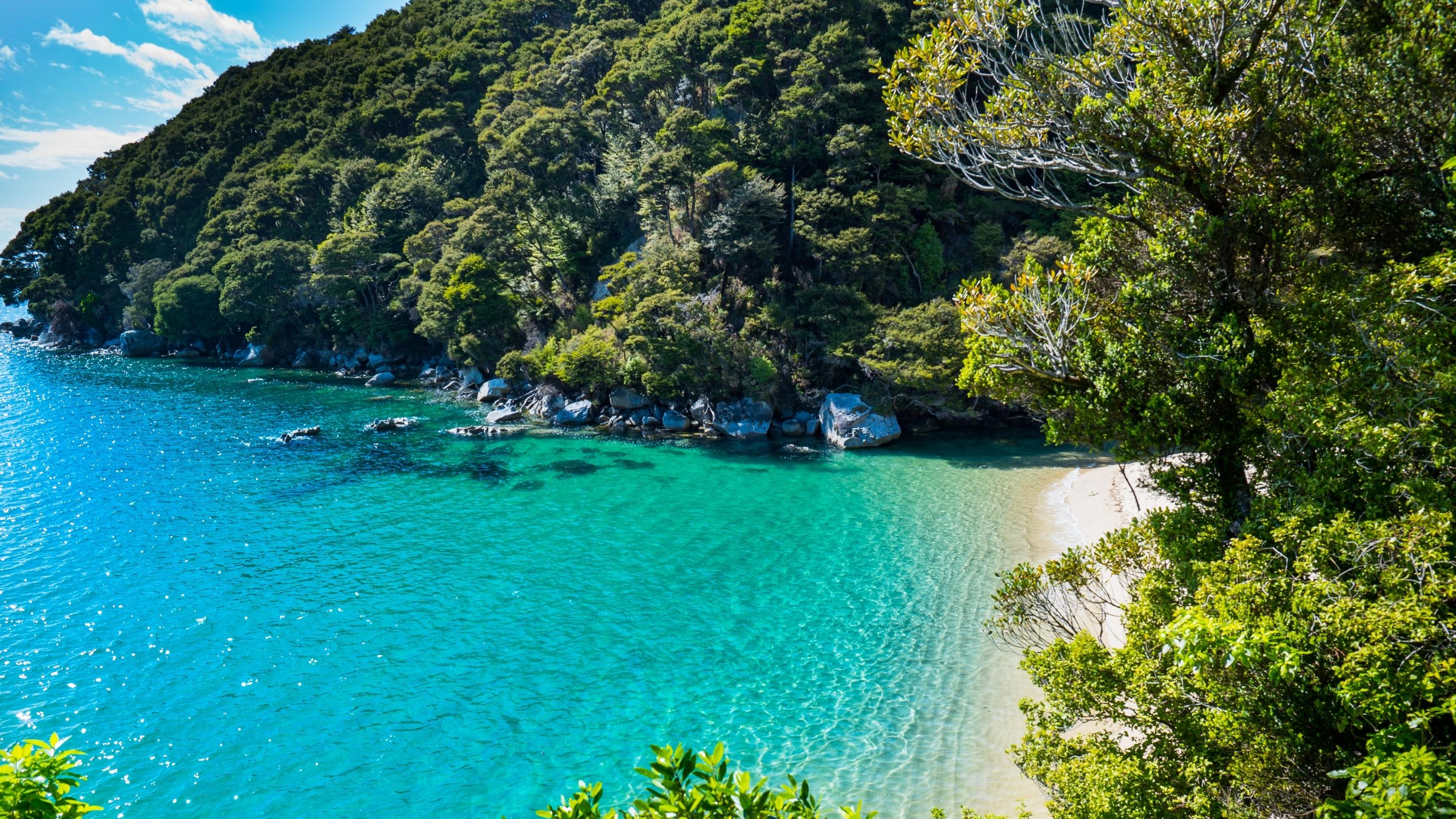 The Barn, Abel Tasman National Park 2024 Prices & Reviews Hostelworld