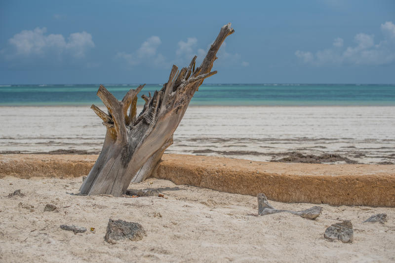 Bidi Badu Beach Sport Hostel