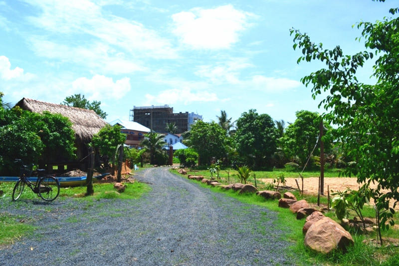 The Plantation