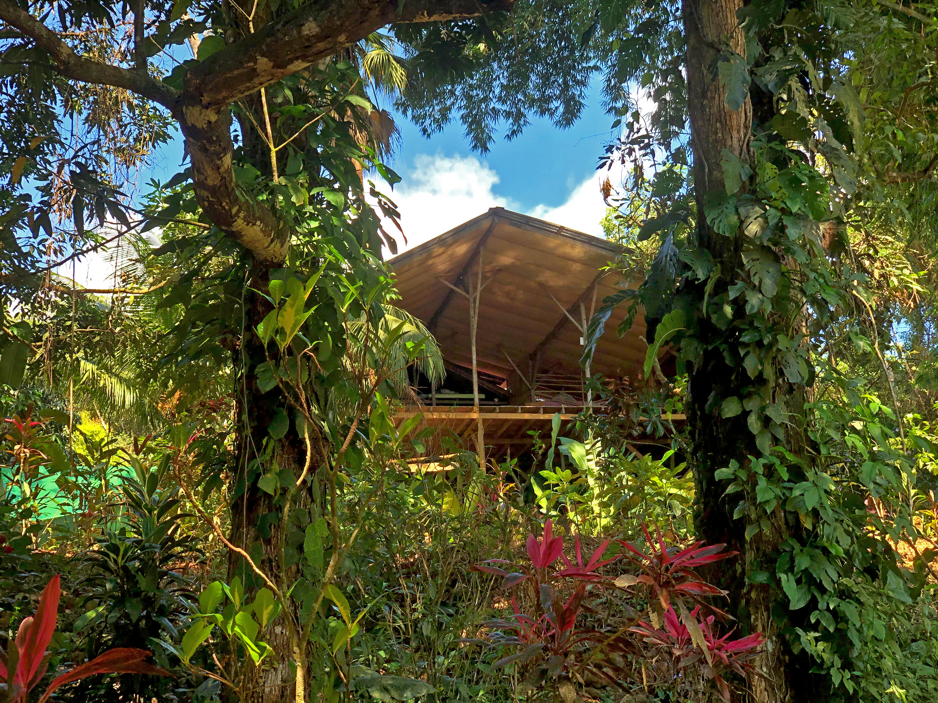 Hostel Cascada Verde, Uvita 2024 Prices & Reviews Hostelworld
