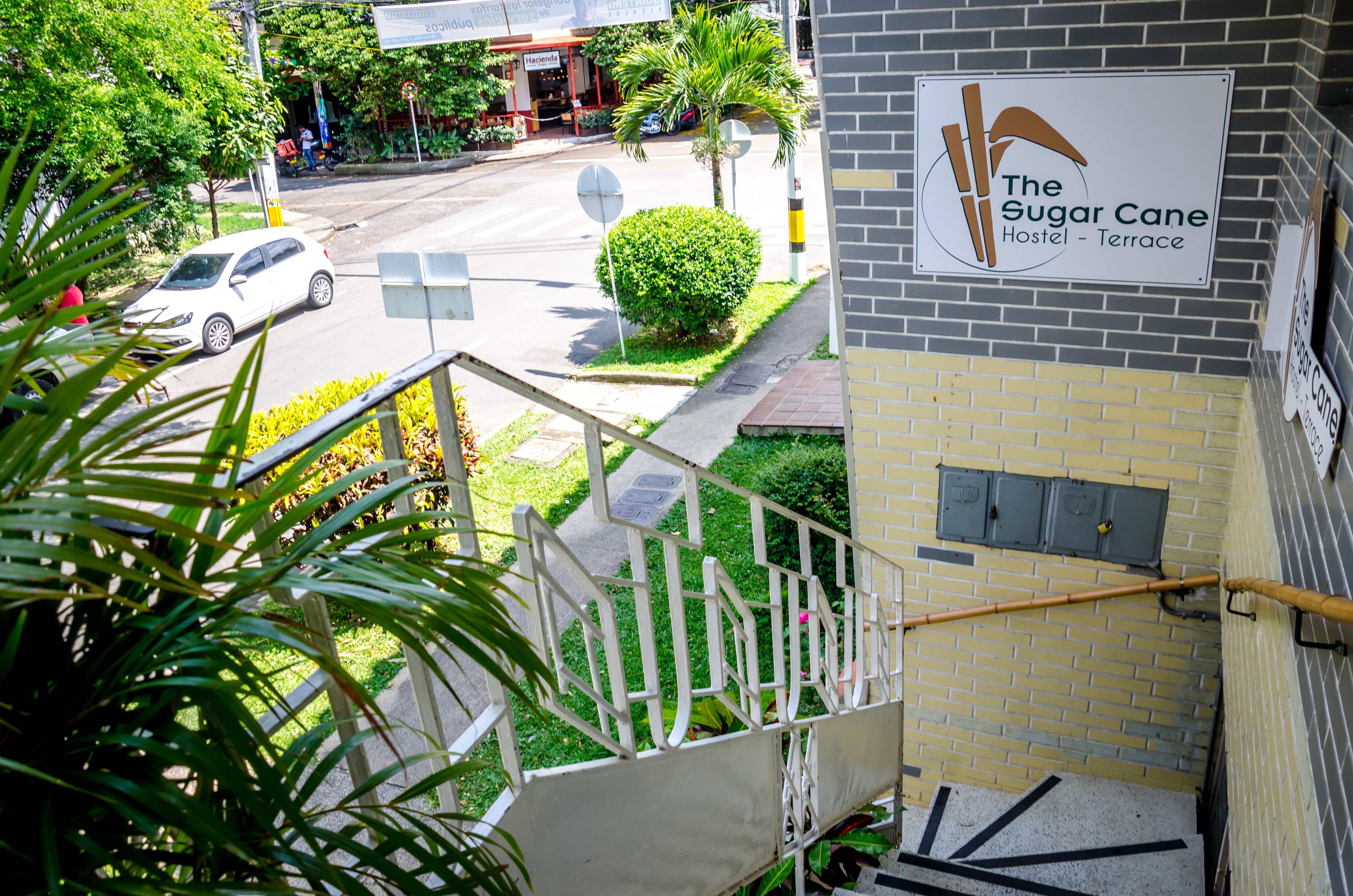 The Sugar Cane Hostel Medellin 2023 Prezzi e Recensioni Hostelworld