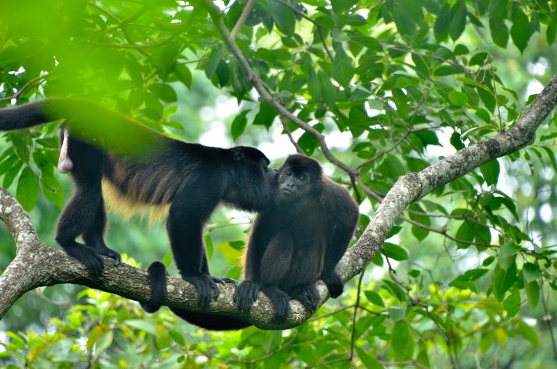 El Zopilote, Ometepe Island - 2021 Prices & Reviews - Hostelworld