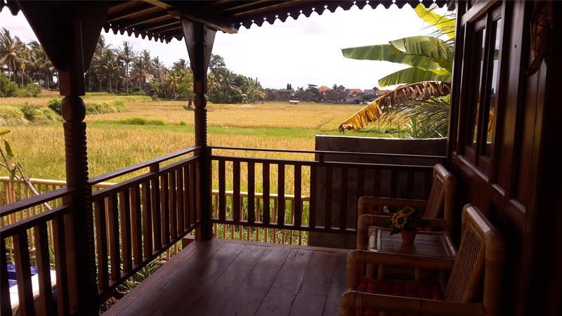 Green Paddy Hostel & Villa