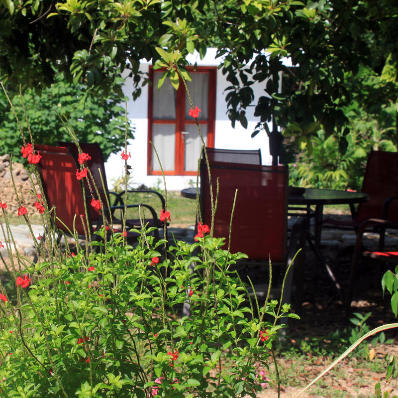 Casa Silvestre
