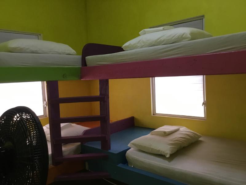 Travellers Palm Backpackers Hostel