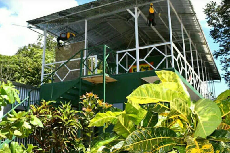 Guesthouse Pura Vida