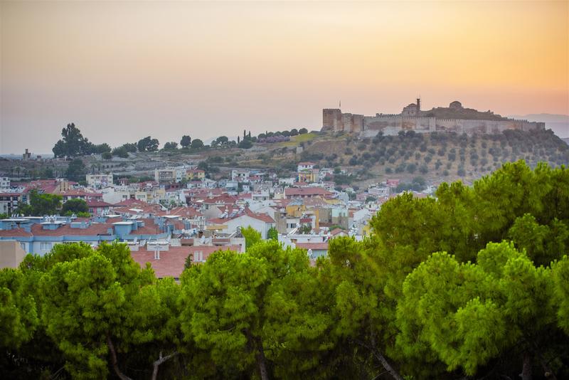 Ephesus Hillside