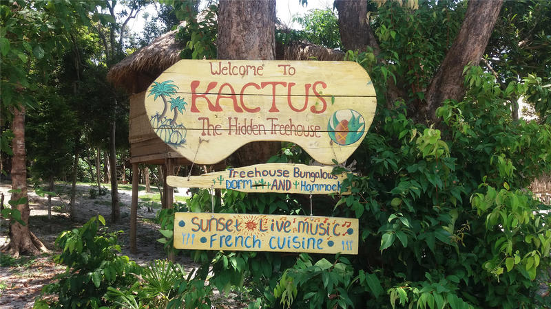 Kactus