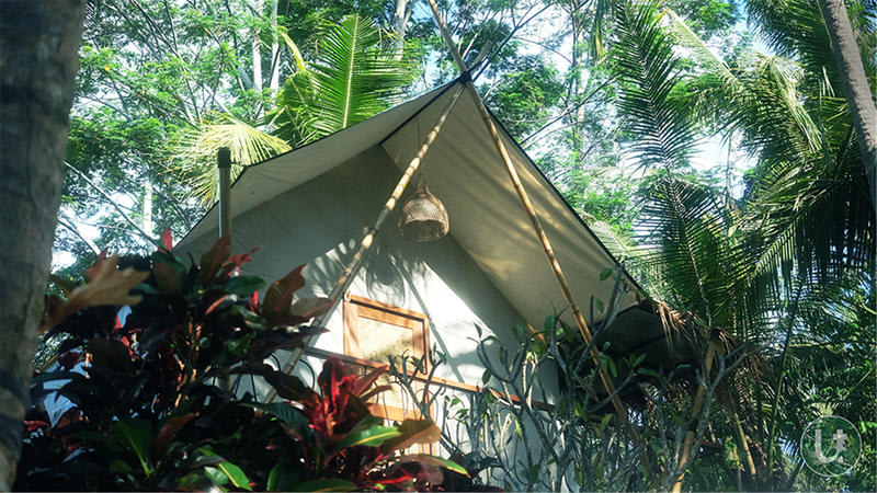Ubud Tropical