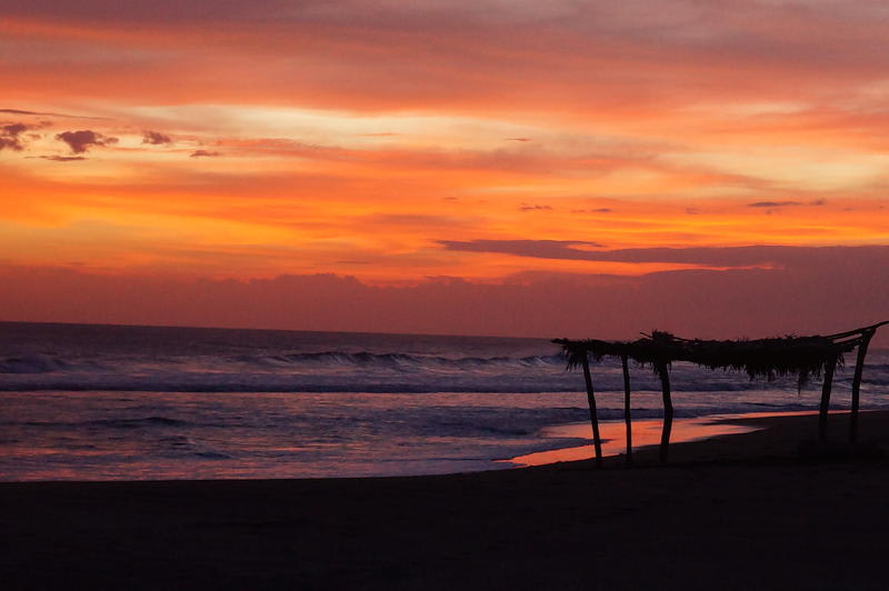 Los Cocos Hostal
