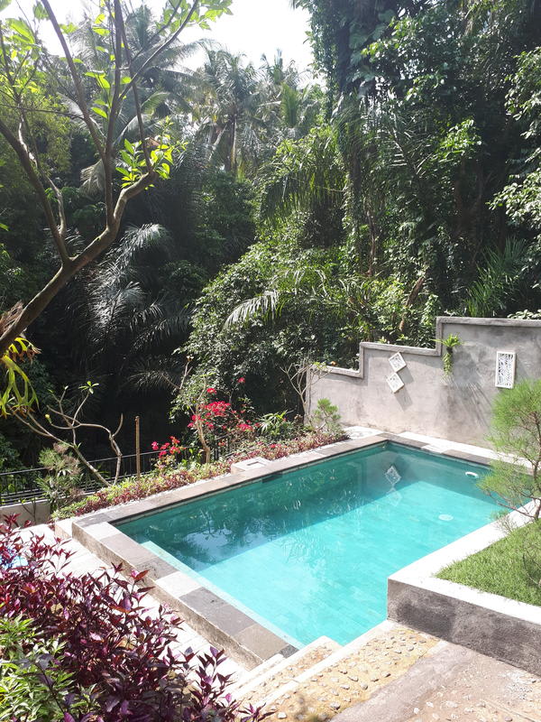 Anggrek Mas Hostel