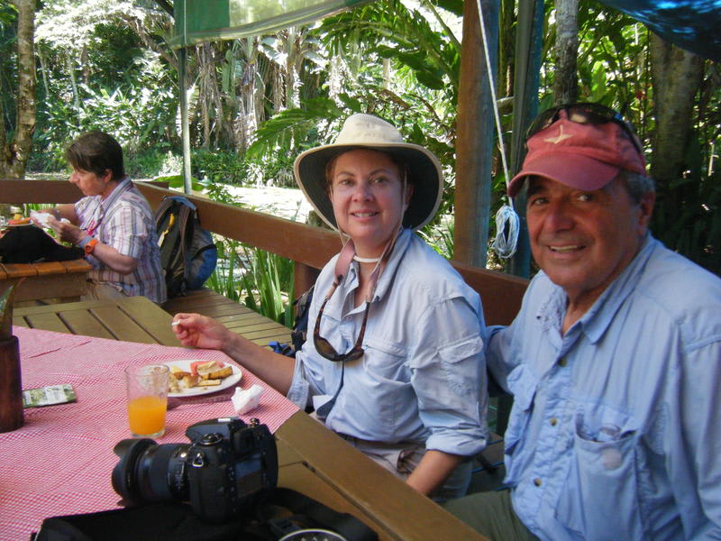 Colo-I-Suva Rainforest Eco Resort