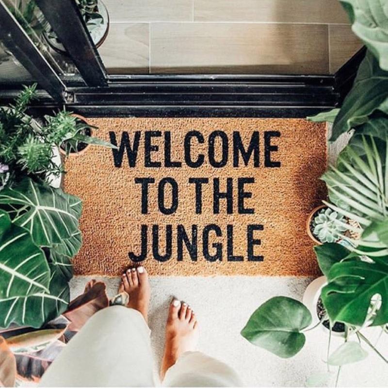 The Urban Jungle Rooftop hostel