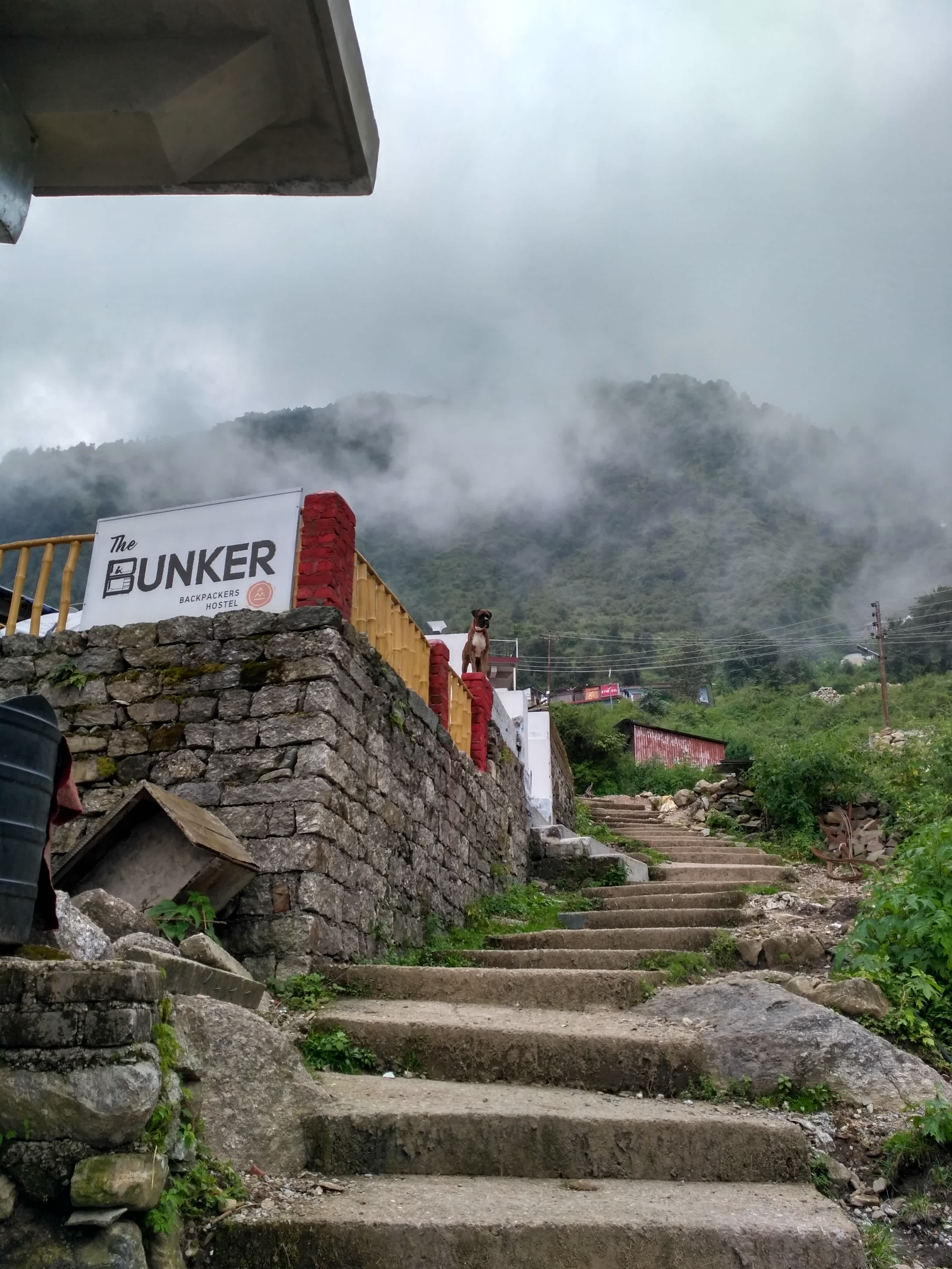The Bunker Backpackers Hostel