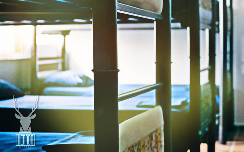 Venado Hostel
