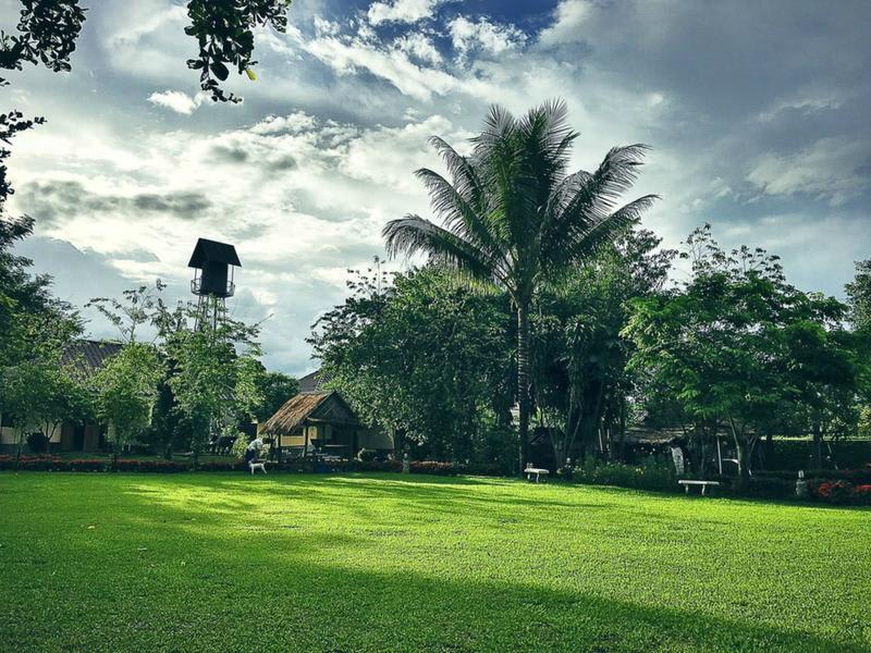 Monkey House 2