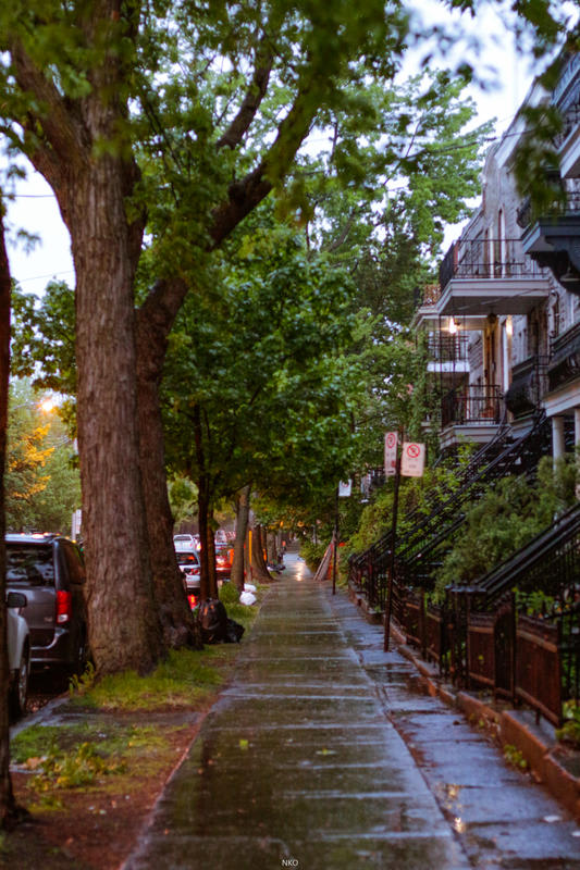 Pied-A-Terre Mont-Royal