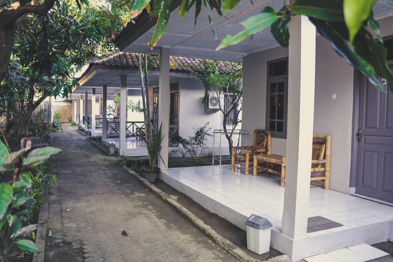 Jungle Hotel