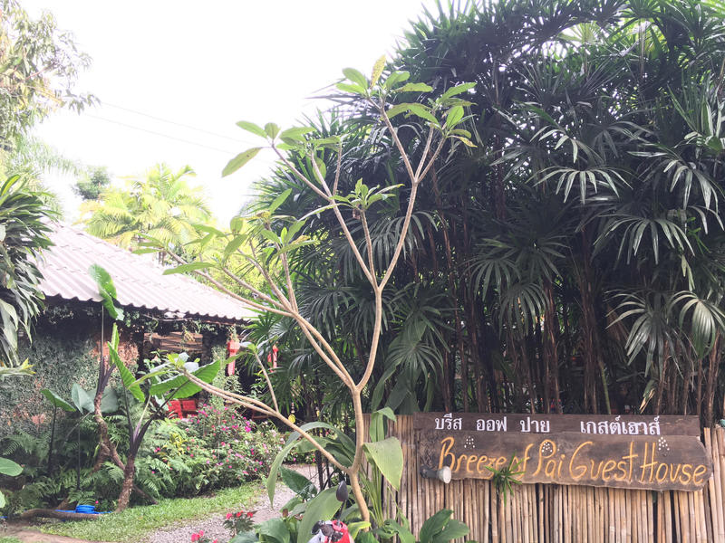 Breeze of Pai Guesthouse