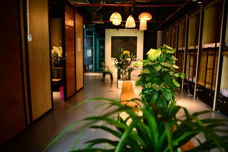 Hostel Stingray