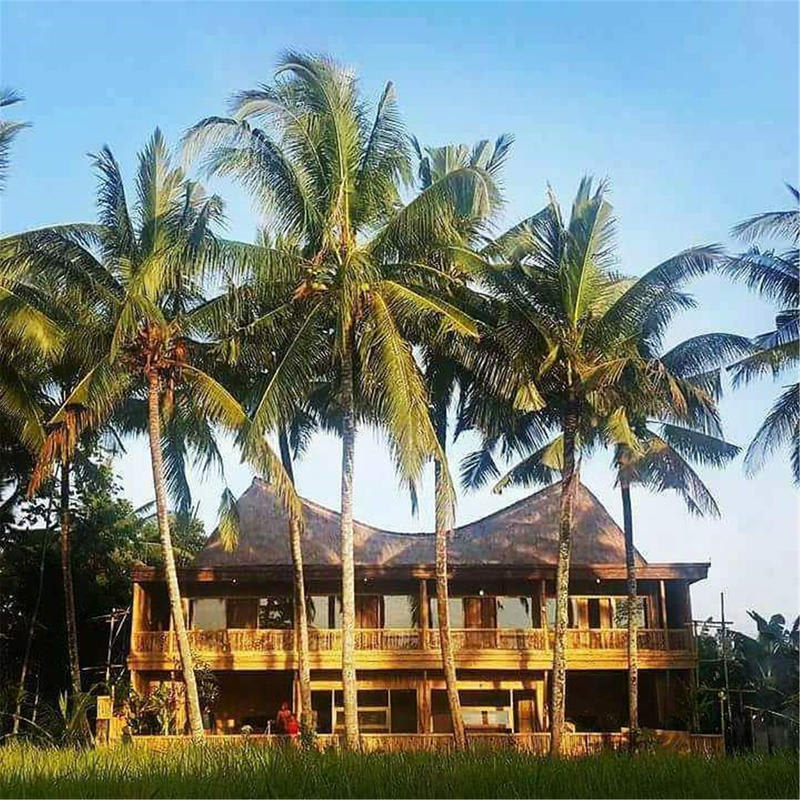Luxury Bamboo Hostel