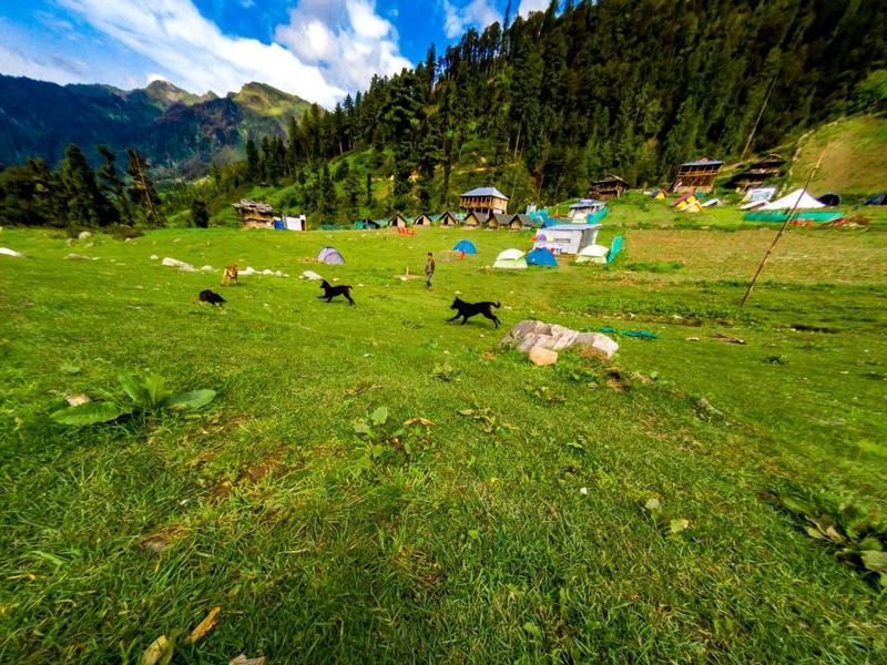 Ayoya Malana Resort - Shiva Café