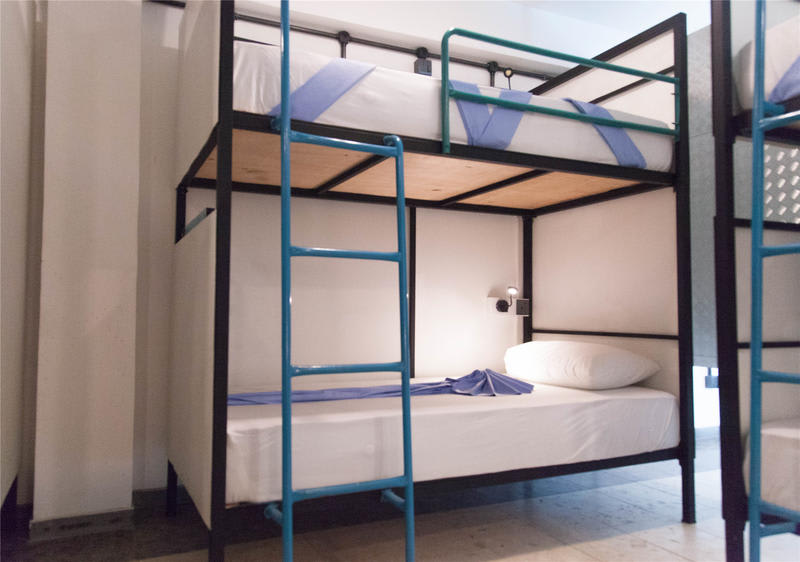 Bunky Monkey Hostels
