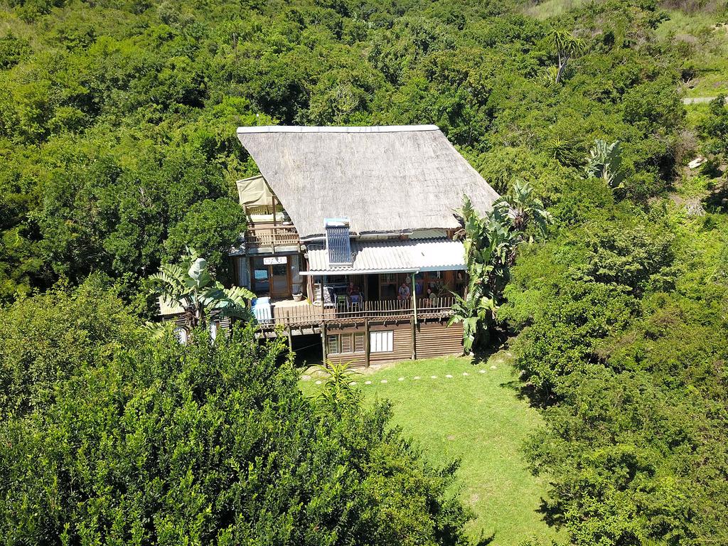 In The Green Backpackers, Bay 2024 Prices & Reviews Hostelworld